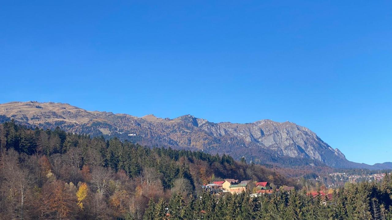 Perfect View Apartment Sinaia Extérieur photo