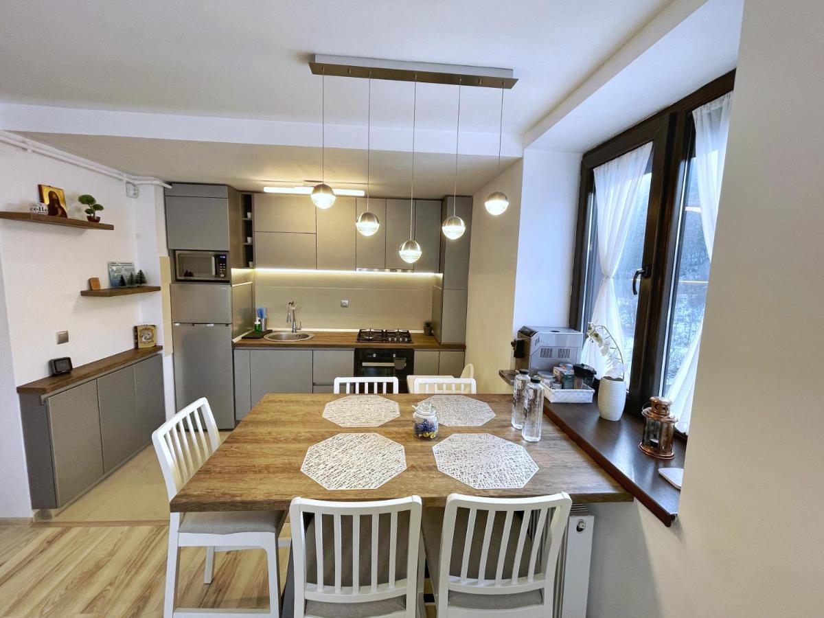 Perfect View Apartment Sinaia Extérieur photo